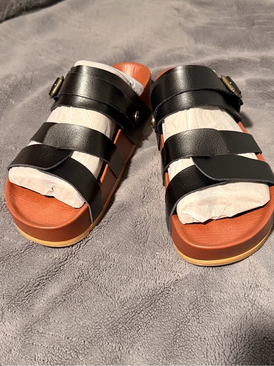 Project Cloud Shoes - Black Triple-Strap Slide Sandals with Brown Footbed